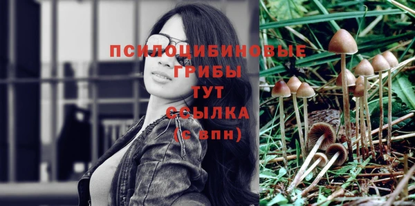 гидропоника Белокуриха