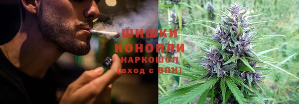 крисы Баксан