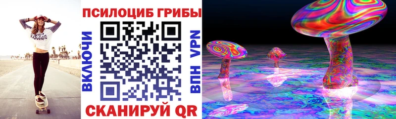 Галлюциногенные грибы Cubensis  Нерюнгри 
